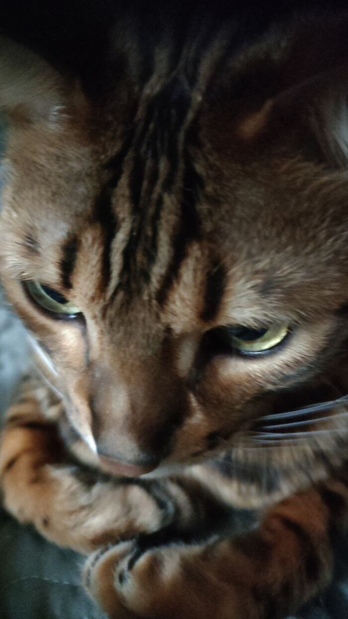 ��������...