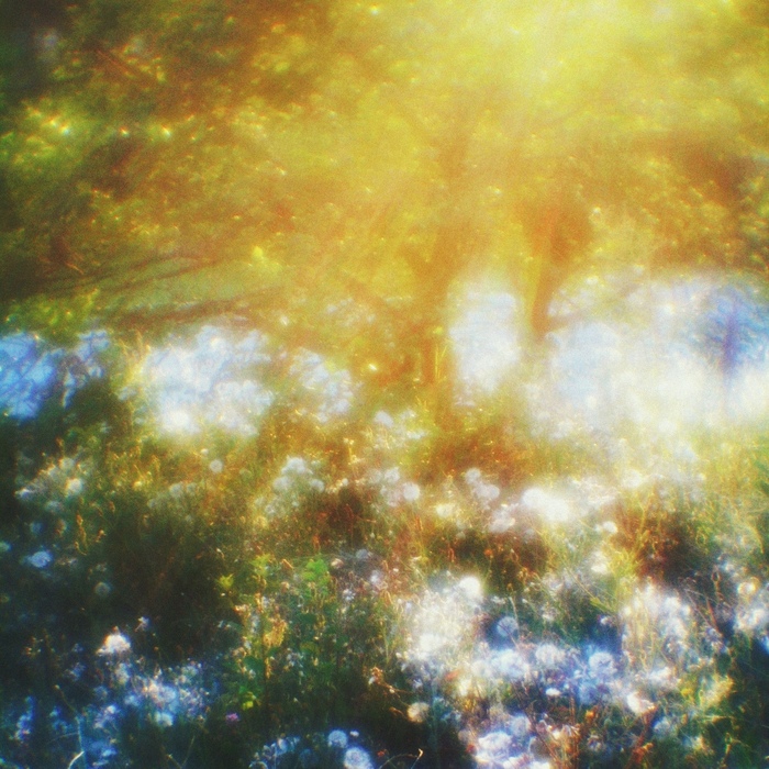 Немного тепла