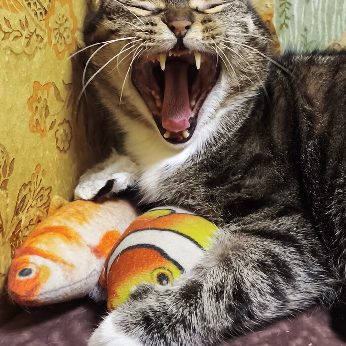 ����� �������� ����� ���� ���! ��������!!!