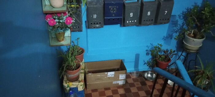 � ��� ����� � ��� ����� ��� ������ ��������. �� ����� �� �� ���������, ������ ��� - �� ������ �� �����. ��� ��� � � ����� �������.