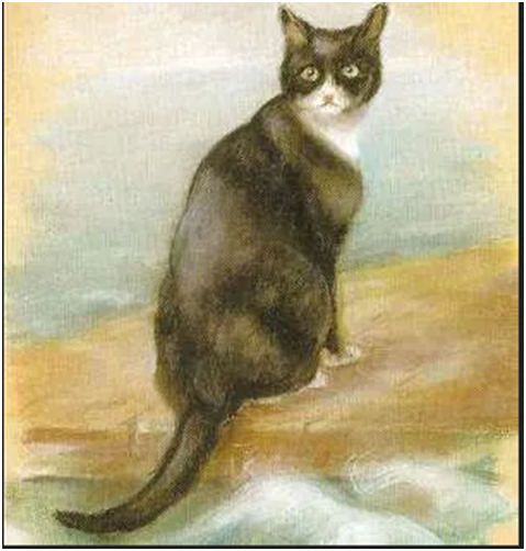 ��������: Wikipedia