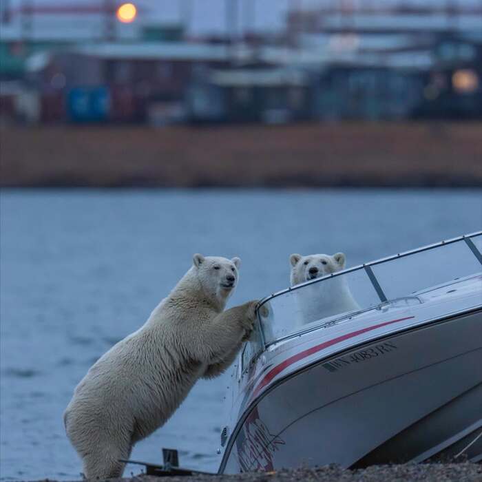 Поехали кататься!
