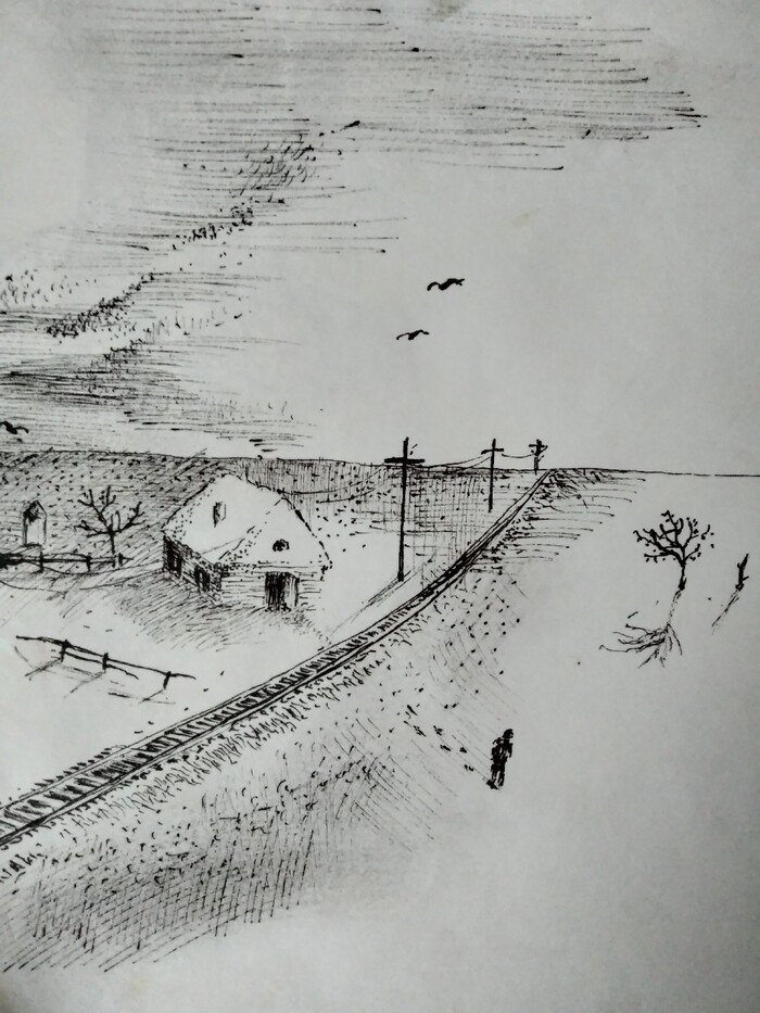 ��� ��������