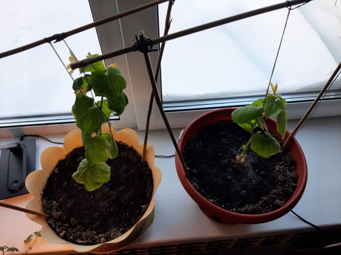 ����� ��� ��� �������� � ��������� ������ ������� � ����������