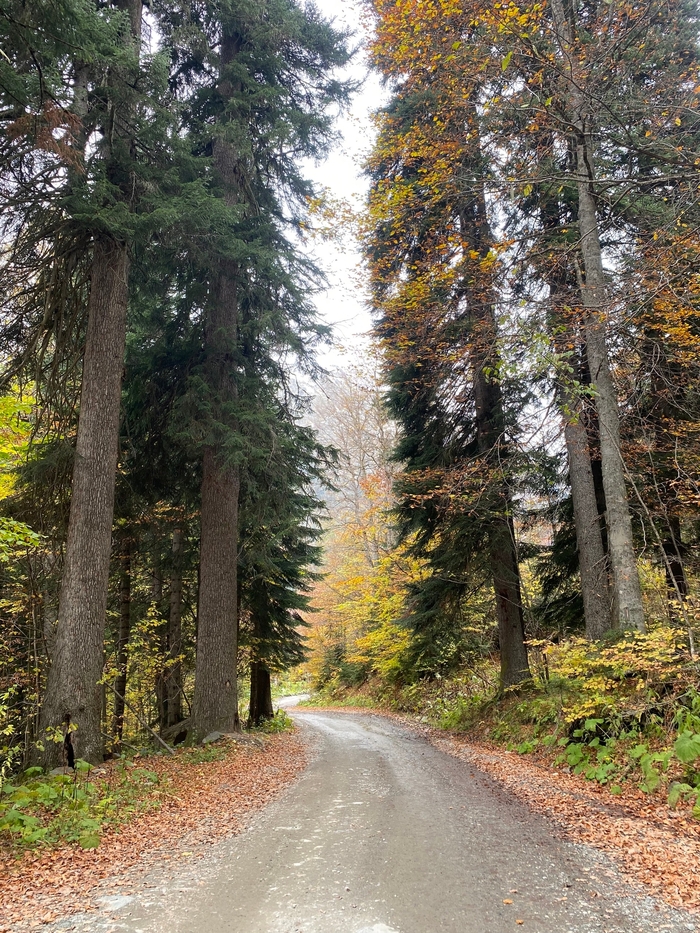 ������ �� ������� ������ � ���������