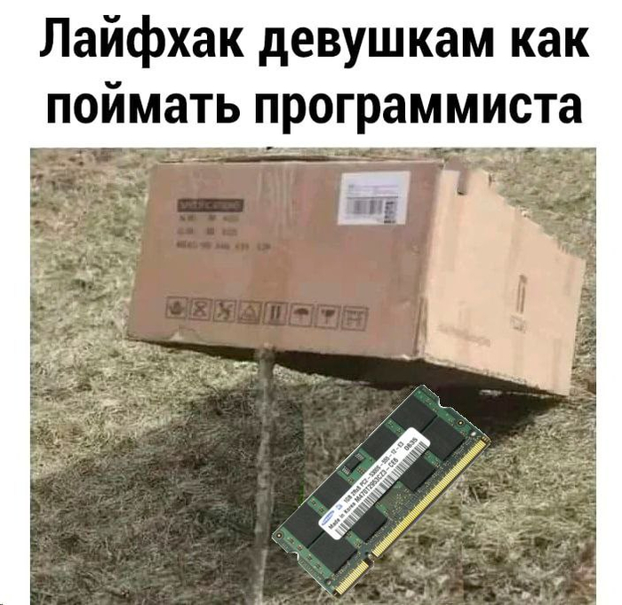 Пользуйтесь девушки