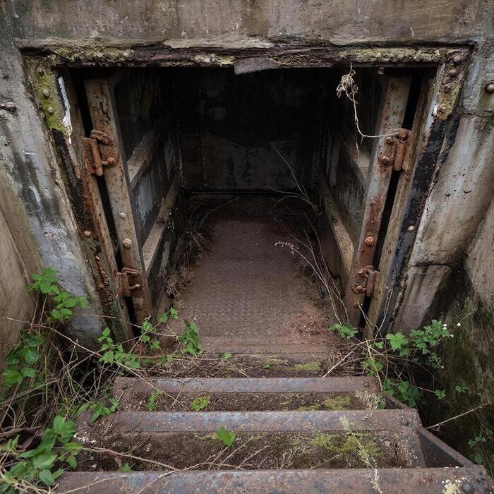 ����� 4. �������