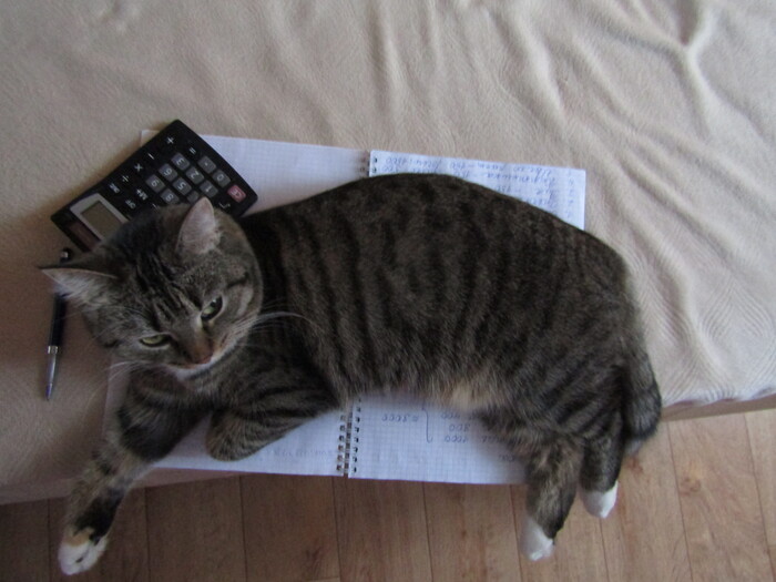 ����������