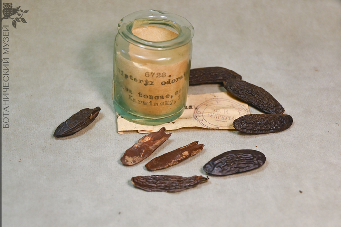 ���� ����� �� ����� ������������� ����� ��� ���. ������� ������� �. �. ���������� � 1853 �.