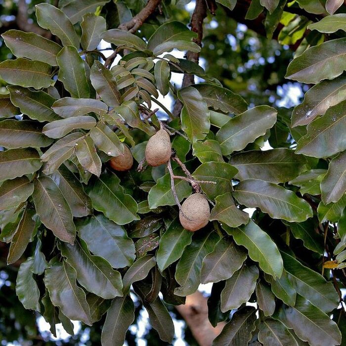 ����� ���������� ���������. ���� � ����� <!--noindex--><a href="https://pikabu.ru/story/dipteriks_13583319?u=http%3A%2F%2Fmavink.com&t=mavink.com&h=991cf874aa8f729670545b8dfc8497e9c2a6cadc" title="http://mavink.com" target="_blank" rel="nofollow noopener">mavink.com</a><!--/noindex-->.