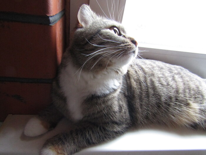 �� �� ��� ���������...