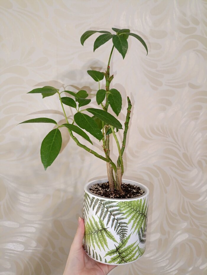 �������� �� ���������