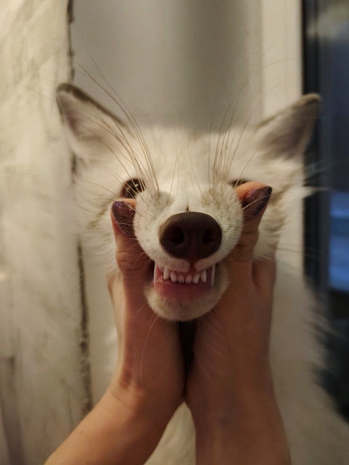 ����� � �� ��������������