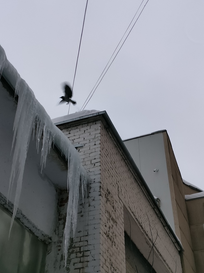 ����� �������� ������, ������ �������� ������� ���� �����