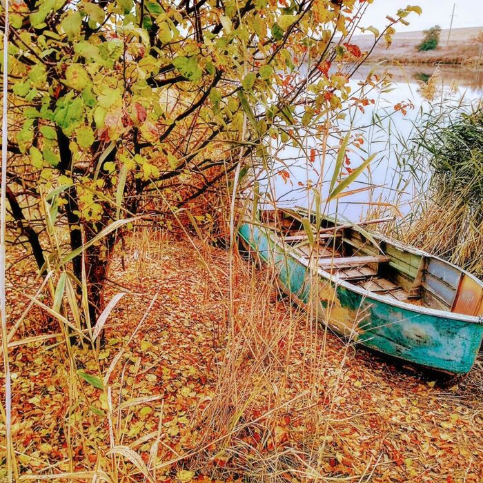 ������� �����