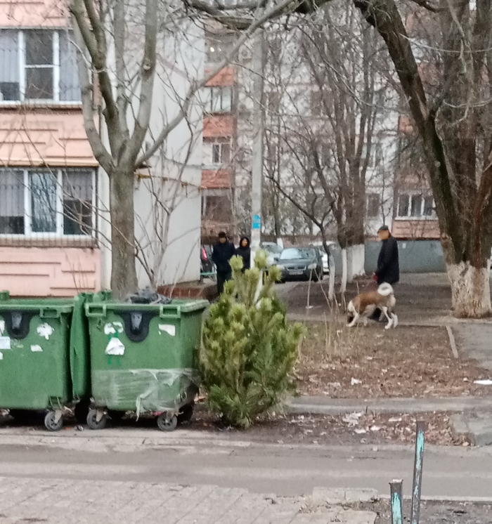 ��������. � ���� ������ 10 ������