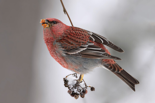 ���. �����. ���������� �������.. ���������� ��������. 10 ������ 2026 ����