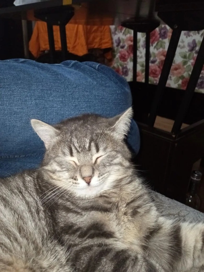 ������ ���)