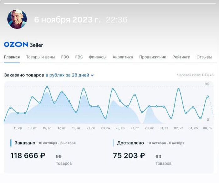 Как мы торговали на озоне