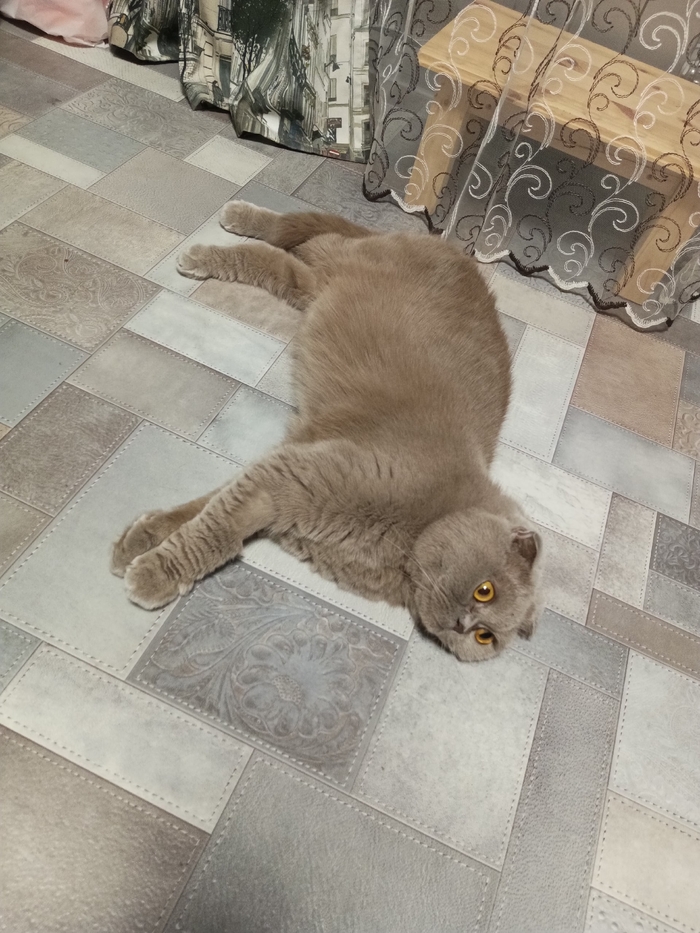 �� ����� ����� ����������.