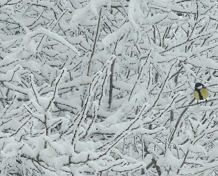 ����� ����� � �������-������� ������