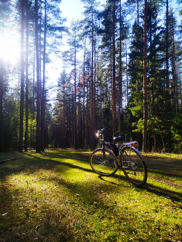 ������� ������� (29.04.23)