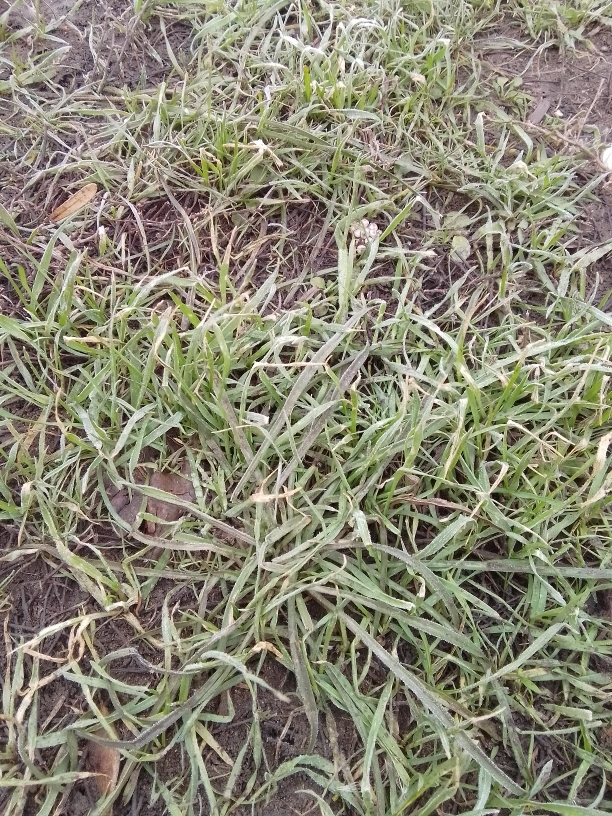 ��� ���������� ��� �����