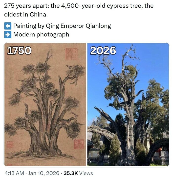 ����������� ������ � ���� �� ������ � �������� � 275 ���