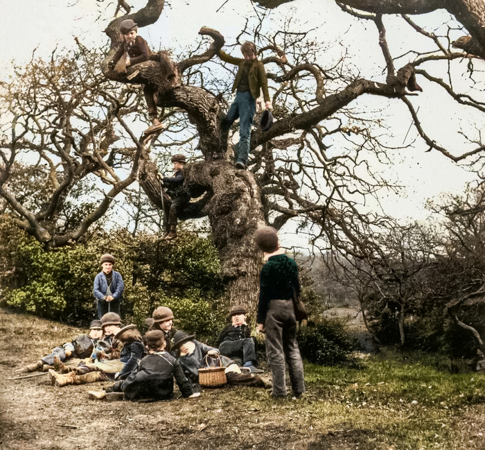 ��������: ������ ������