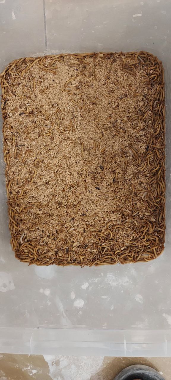 500 ����� ������� - ����� ������� ��������� �� ��������� ������. ����� ������� ����������. 