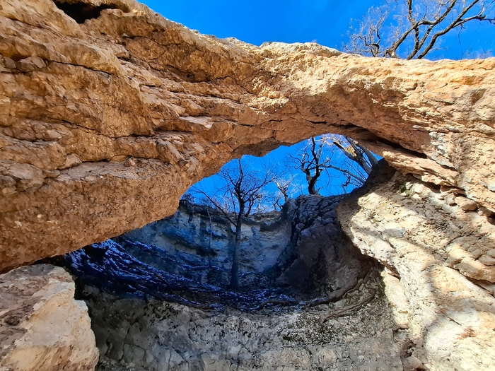 ����-������