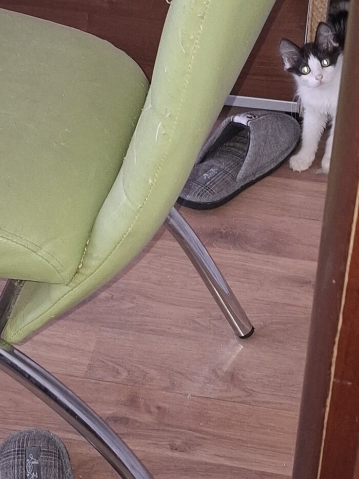 �������