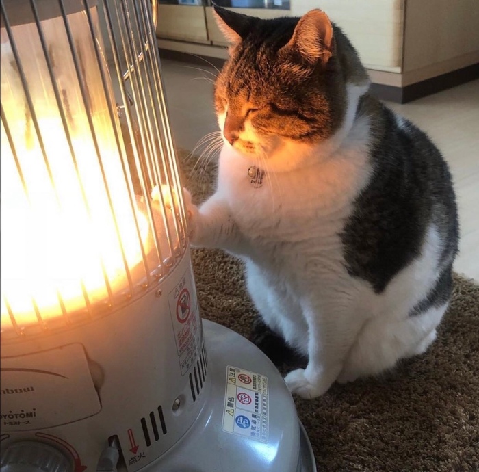 ������������ ���������� ������������