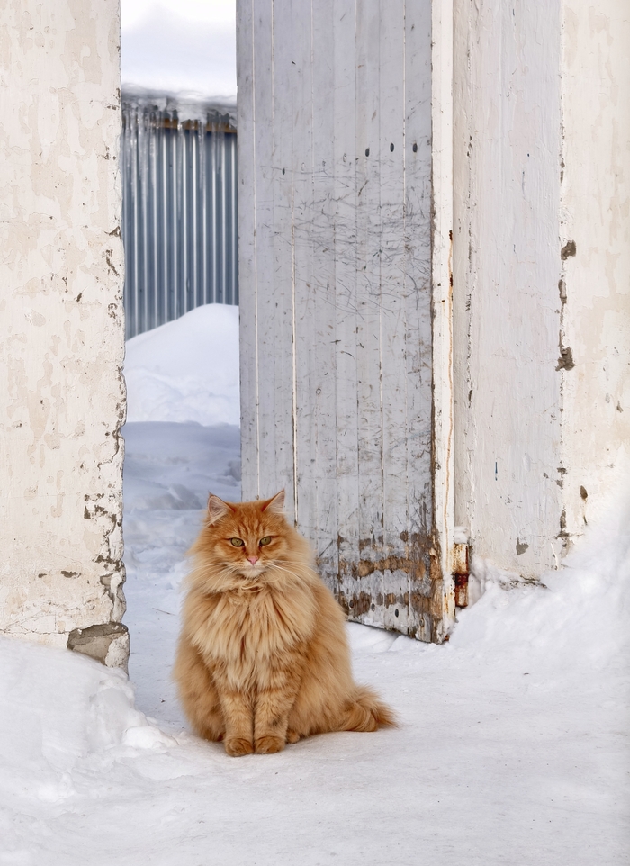 ����� �� �����