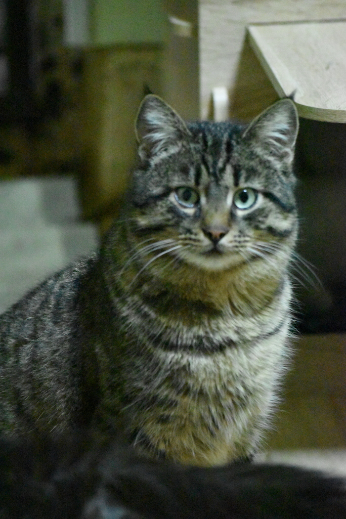 �� ��� ��� �����, ��� ���� ��� ������ ����� �����