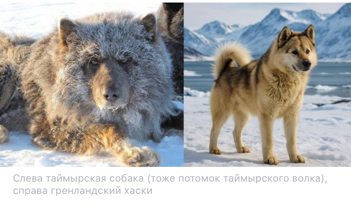 ����� �� ���� ��� ���������� �� ������ �����, ��� �� ������� ����� �� ��������� �������. ��� ����� ������ ��������? ���������� ����� � ���������� �����