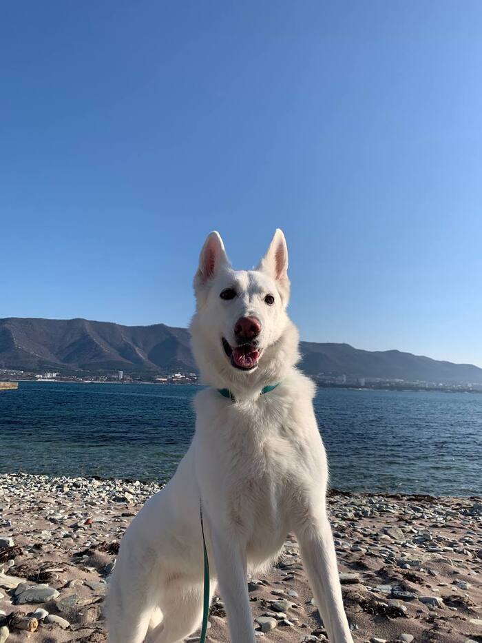 ������ ����� ����� ���� ������ ��� � ����� ��-������! 