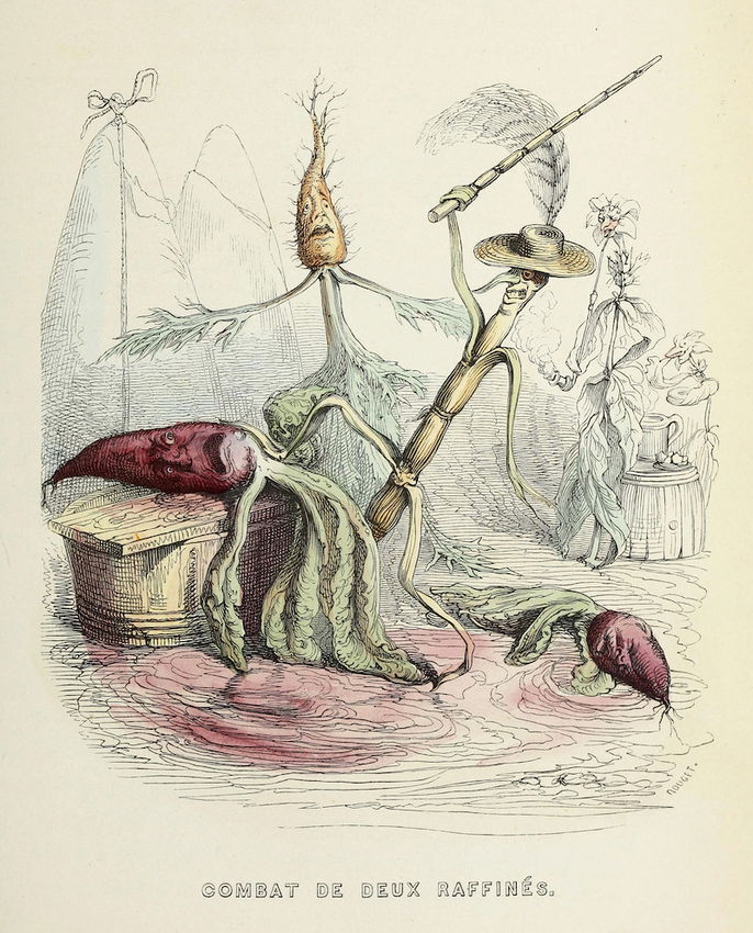 ����� ���� ���������� �������� �� ������� ����, 1844 �