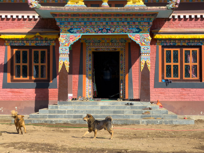 ������ ������� � �����. �������� � ��� ���������