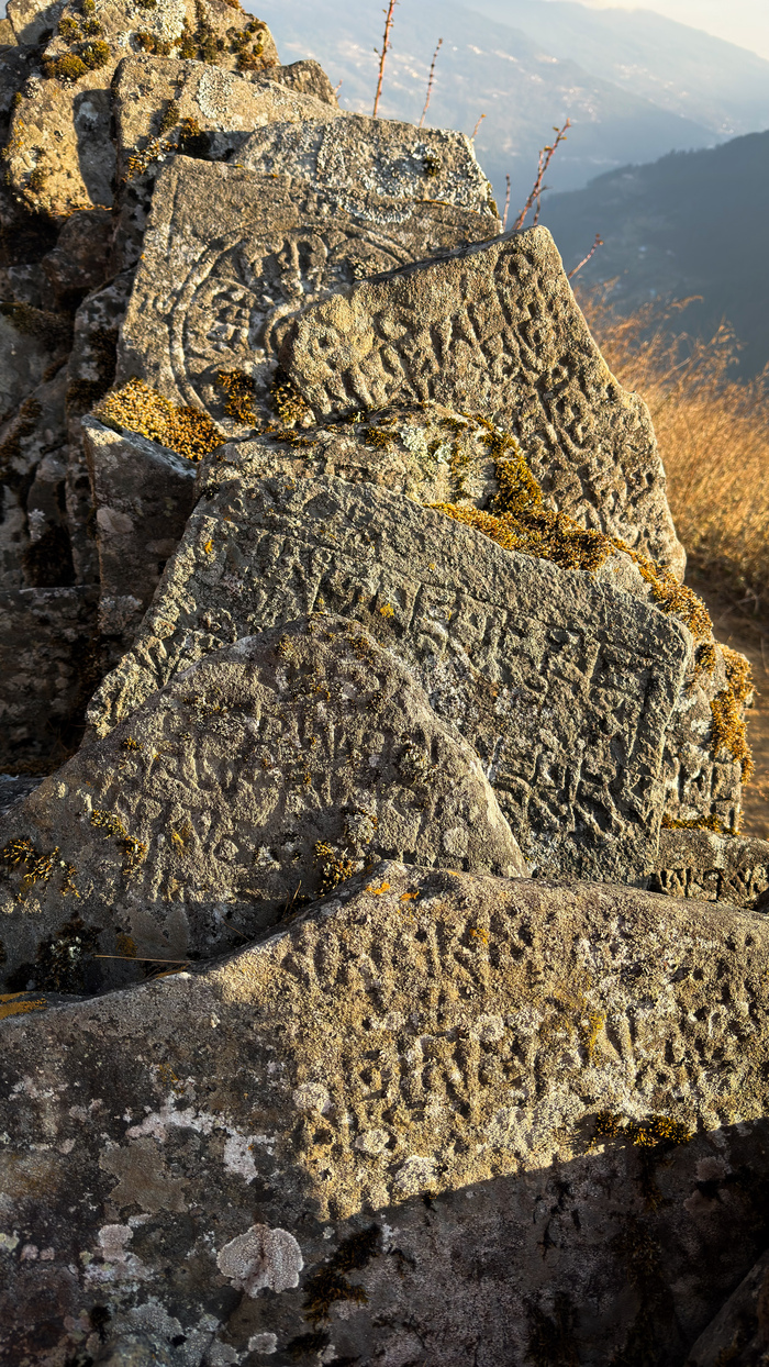 ��������