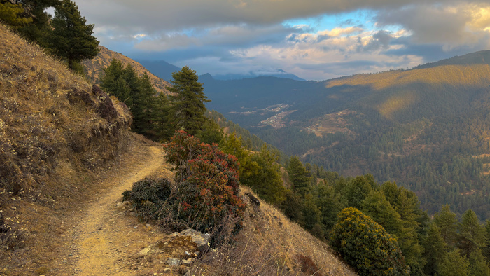 �������� ����� �� ������ 2800�