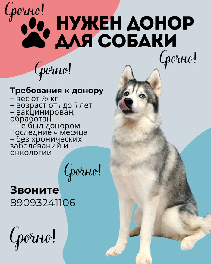 ������ ����� ����� ��� ������. �������