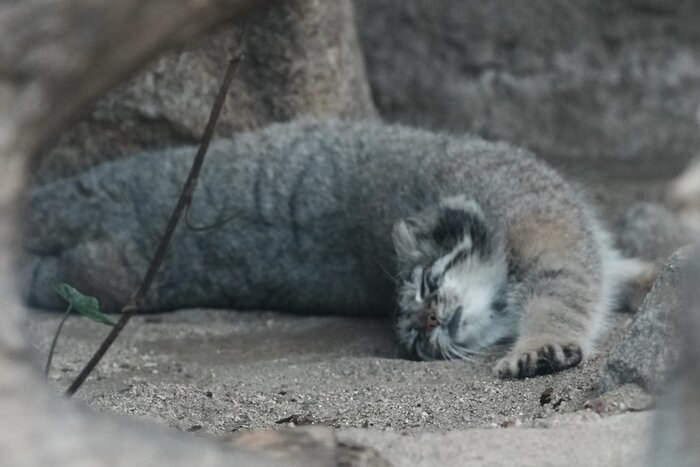 ���� �� ������� ���� ������...