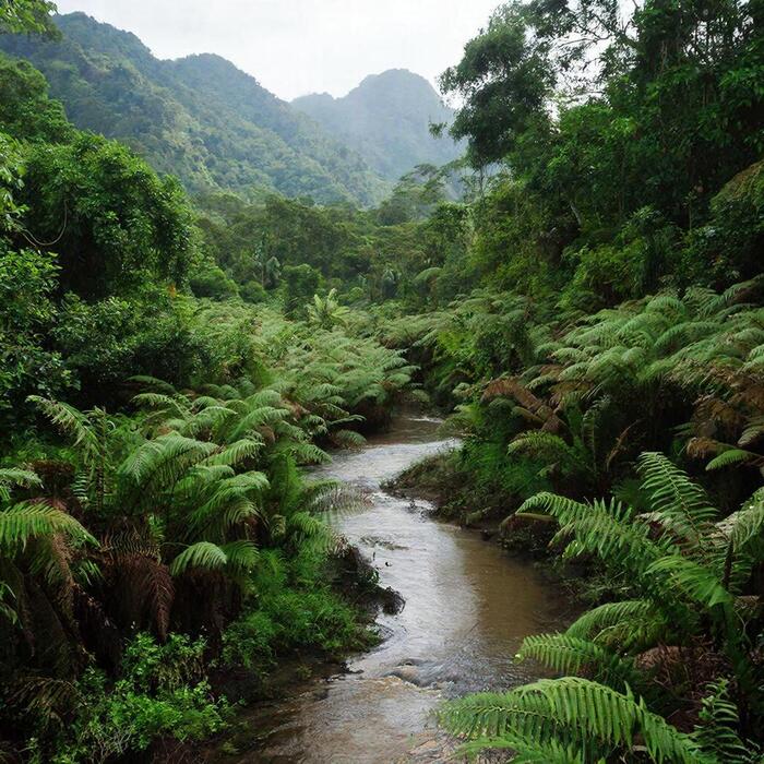 ����� 9 �������