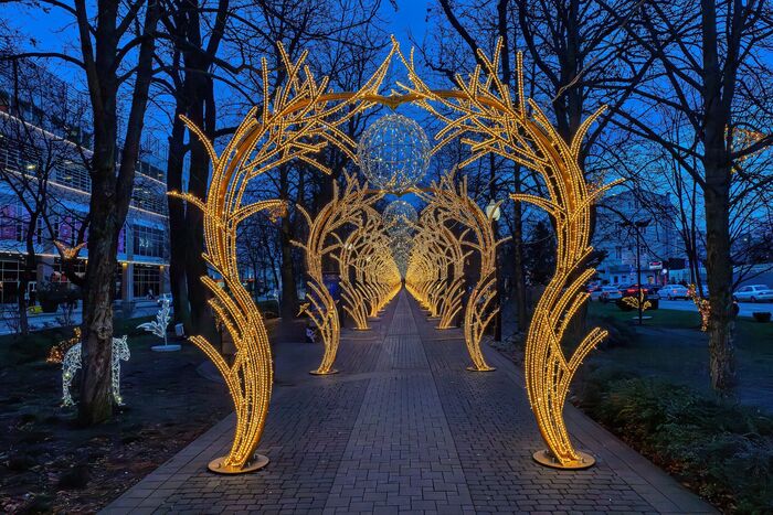 �����������