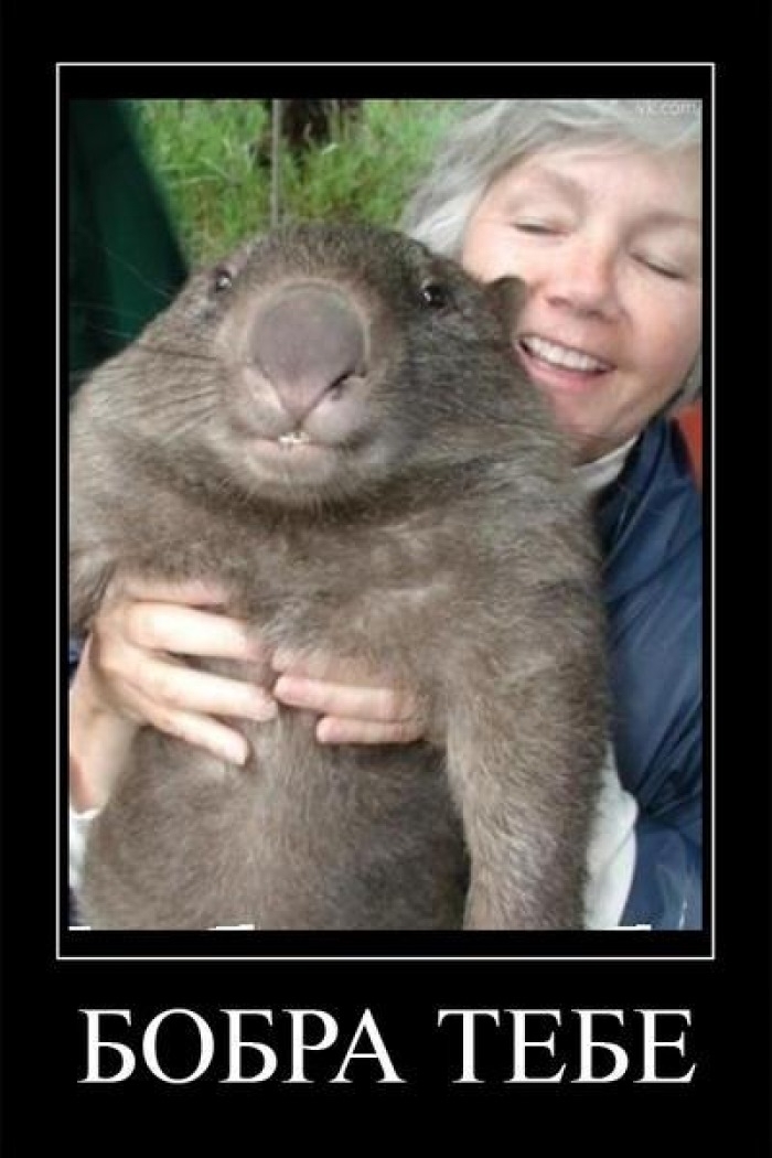 ������� �� �����