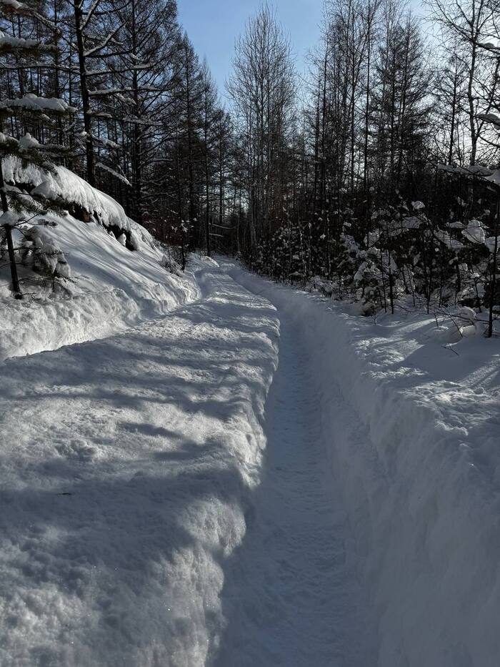 Изредка попадаются дороги