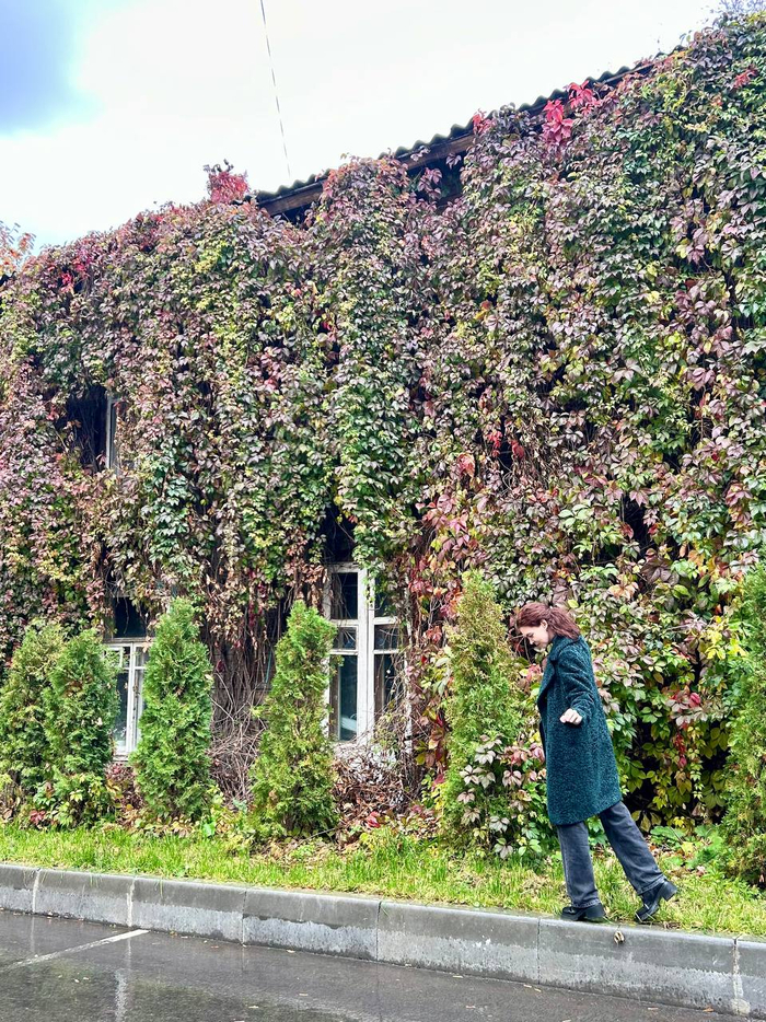 ���-�� ��� ������ ����� ���