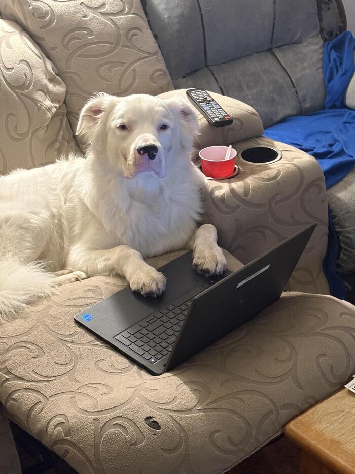 Ему не нравится, что его фотографируют во время работы