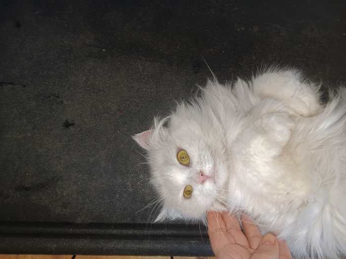 ������� ���������� ������ ������